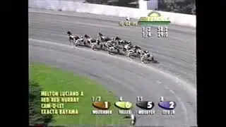 1999 Freehold Raceway MELTON LUCIAN A Ross Wolfenden