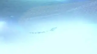 Time Stop Custom SFX