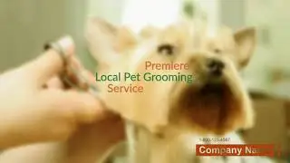 Dog Grooming Services | Dog Grooming Services At Foxlist