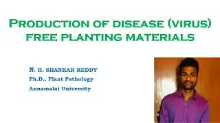 Production of Disease Free Planting Materials | Plant Virology | M.Sc (Plant Pathology)