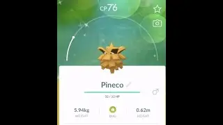 Shiny Pineco