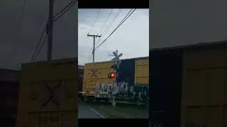 Fast train makes emergency stop after breaking an air hose.