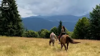 صناعة الجبن في جبال أوكرانيا 🧀🇺🇦