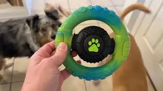 Wodifer Dog Toys Review | Tough Chew Toys for Aggressive Chewers