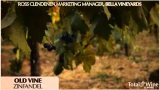Bella Vineyards - Old Vine Zinfandel