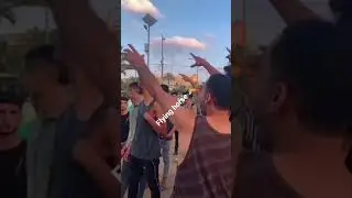 real life flying horse caught on camera