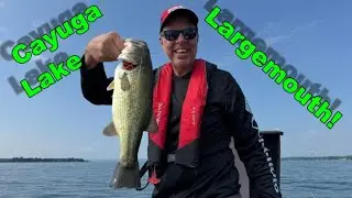 Cayuga Lake Largemouth!