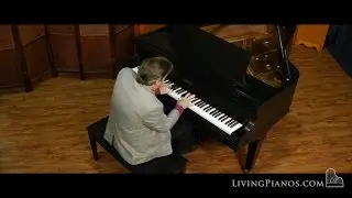 Baldwin Artist Series Grand Piano for Sale &ndash; Model L &ndash; High-Quality Used Pianos