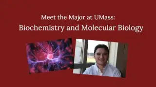 Meet the Major: Biochemistry and Molecular Biology