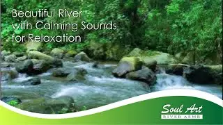 Underground River Cave Ambience | Dark Water Sounds for Focus & Calm