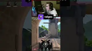 Guardian goes crazy | valgex on Twitch