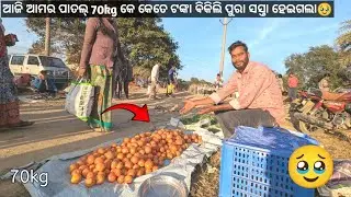 ଆଜି ଆମର ପାତଲ୍ 70 kg କେ କେତେ ଟଙ୍କା ବିକିଲି ପୁରା ସସ୍ତ ହେଇଗଲା🥹#sambalpurivlog #tomatofarming #odiavlog 