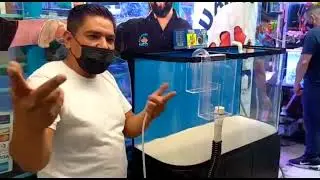 filtro sump para peceras. Mercado de mixihuca #peceras #peces rebosadero. overflow acuarios