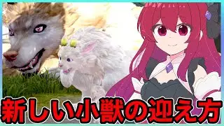 【インフィニティニキ】新しい小獣の迎えかた🎉✨