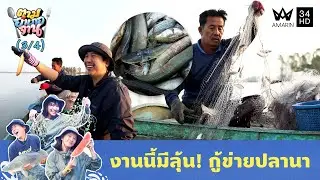 กู้ข่ายปลานาได้ปลาหลากหลาย | ตามอำเภอจาน | 13 ม.ค. 69 (3/4)