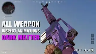 All Weapon Inspect Animations | DARK MATTER ULTRA | PS5 1080p 60fps | BLACK OPS COLD WAR