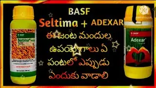 BASF saltima+adexar ఈ జంట మందుల ఉపయోగాలు ఏమిటి  వరిలో ఎప్పుడు ఎందుకు వాడాలి@Eruvaaka