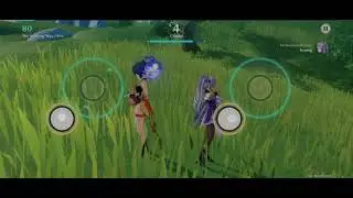 The Winding Way (Pro) Perfect Clear | Genshin Impact