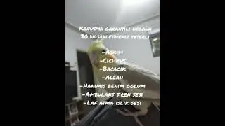 Sultan papağanı ve Muhabbet kuşu konuşturma videosu Konuşma garantili ( Reklamsız 30 dk )