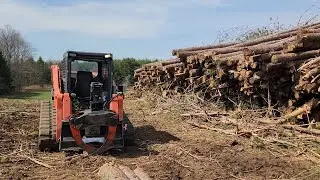 WHOLE TREE REMOVAL IN SPRUCE/RED PINE PLANTATION #kubota #martatch #baumalight