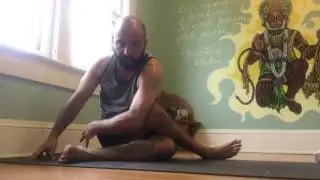 Asana Breakdown - Gomukasana Variation