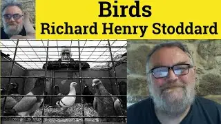 😎 Birds by Richard Henry Stoddard Analysis - Birds by Richard Henry Stoddard Summary