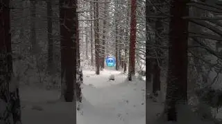Frozen Forest #snow #nature #relaxingmusic