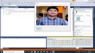 Visual Basic - Picture Box Display