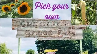 CrockFordBridge Farm Tour - Fruit & Veg Picking - சுற்றுலா