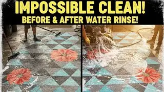 💦 Grease & Oil Ruined Carpet | Hardest Clean of the Week! PLEASE Subscribe 🥺