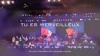 Tu es merveilleux, Jem 717 - Louange vivante
