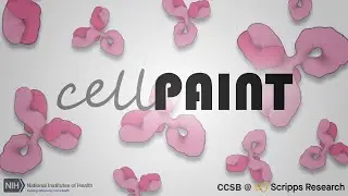 cellPAINT 2D Quick Start Video