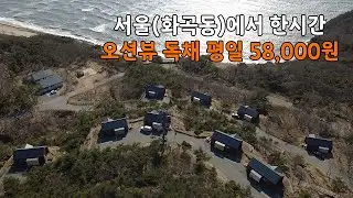 무의도 자연휴양림의 모든 것