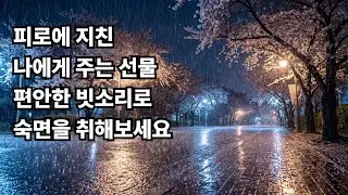 Deep Sleep Ambience Rain Sound ASMR 8Hours