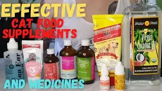 Food Supplements And Medicines For Cats | Vlog #18 | ChiVie Vlogs