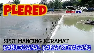 PLERED.. Spot Mancing Keramat, Banjirkanal Barat Semarang