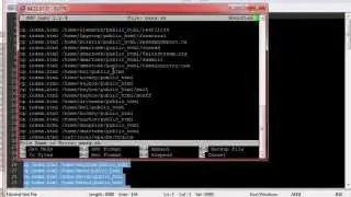 manual mass deface