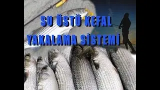 YENİ SİSTEMLE KEFAL YAKALAMAK ÇOOK KOLAY:))) Balık Avı ve Teknikleri
