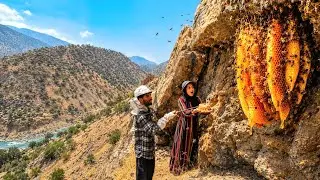 🐝🍯 Finding Wild Honey in the Zagros Mountains | A Nomadic Family’s Mountain Life 🏔️