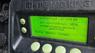 ОШИБКА 66 THERMO KING. Низкий уровень масла в ДВС рефрижератора. Где и как подливается масло в РЕФ..