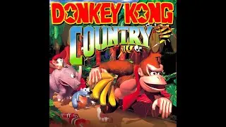 My best speedrun of the DKC Competition Cart