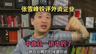 张雪峰锐评外资企业，中肯且一语中的了