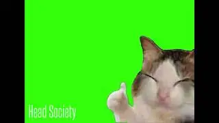 Animated Thumbs Up Crying Cat (green screen) (template)