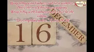 Day 16 / Merry Christmas/ Amadeo FCC 