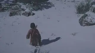 Naoe Quest At Find Mayu's Offerings Part 6 In Assassin's Creed Shadows.....