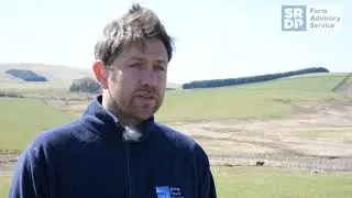 An Introduction to the Clyde Valley Wader Initiative