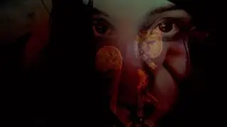 A Letter to Antarctica (Official Video) - HAILIEN