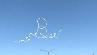 Bee official music video