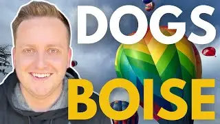 Is Idaho a good place for your dog? Why Boise is the BEST Dog City