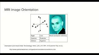 1.0 - MRI image orientation with ANTsPy - Course MRI preprocessing with Python